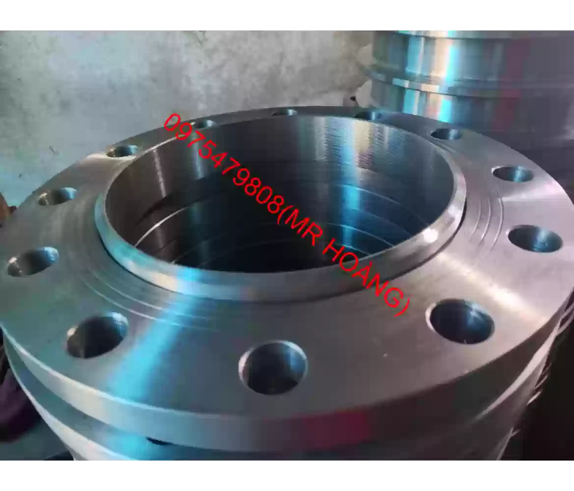 Lap Joint inox 304 SCH20